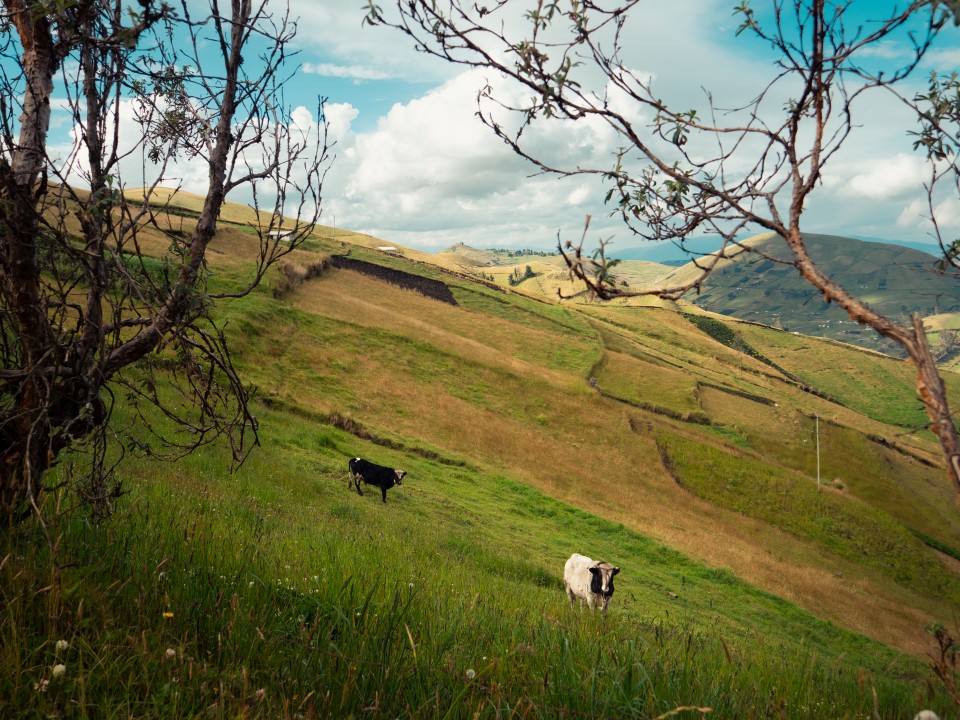 Villaggio andino La Esperanza