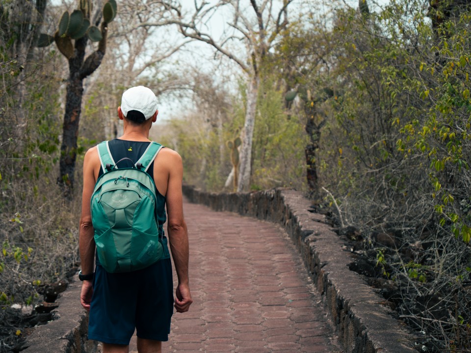 Verso Tortuga Bay Verso Tortuga Bay