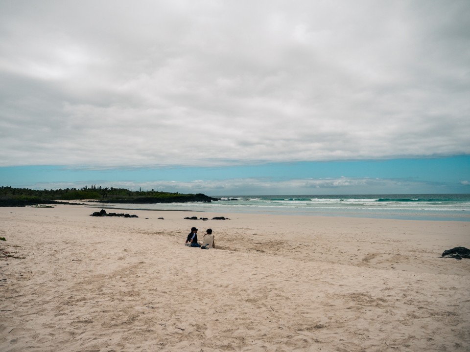 Tortuga Bay Tortuga Bay