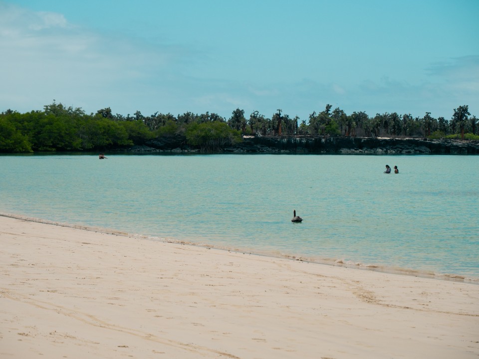 Tortuga Bay Tortuga Bay