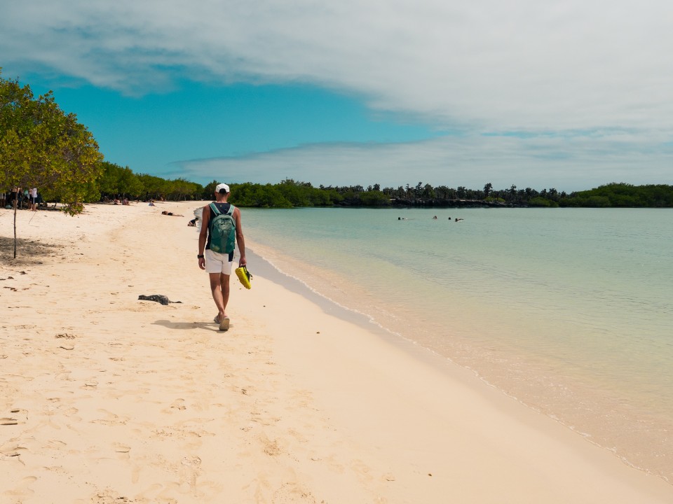 Tortuga Bay Tortuga Bay
