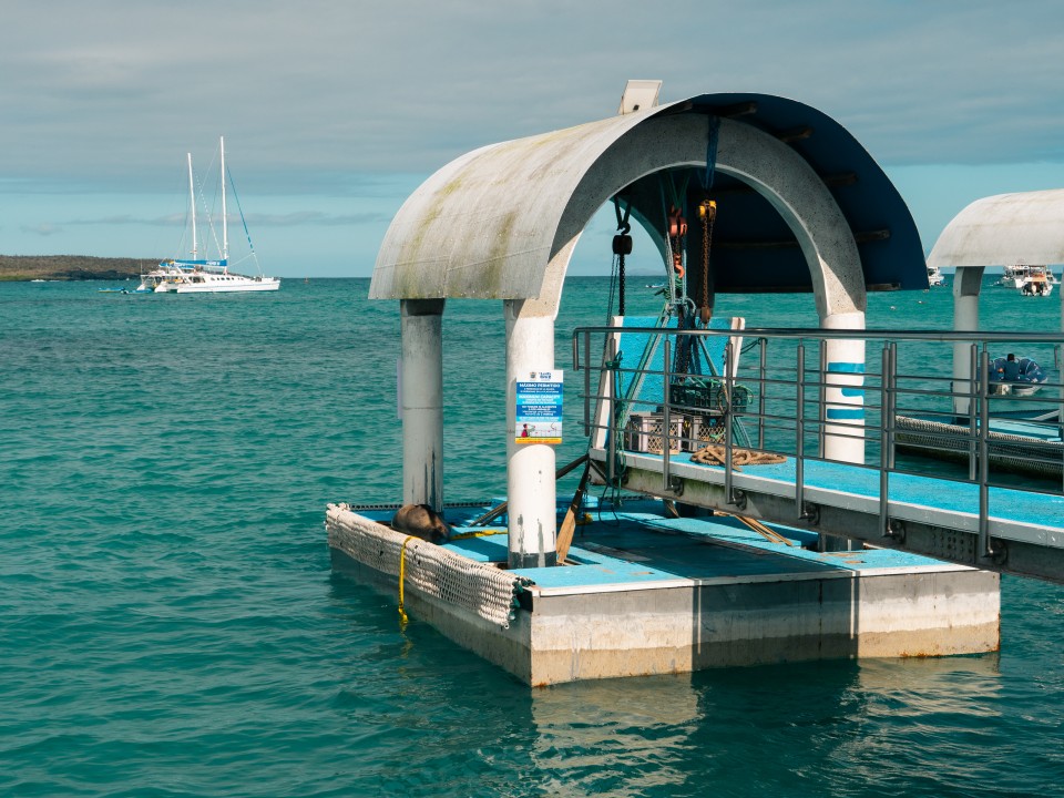 Porto di Puerto Ayora Porto di Puerto Ayora