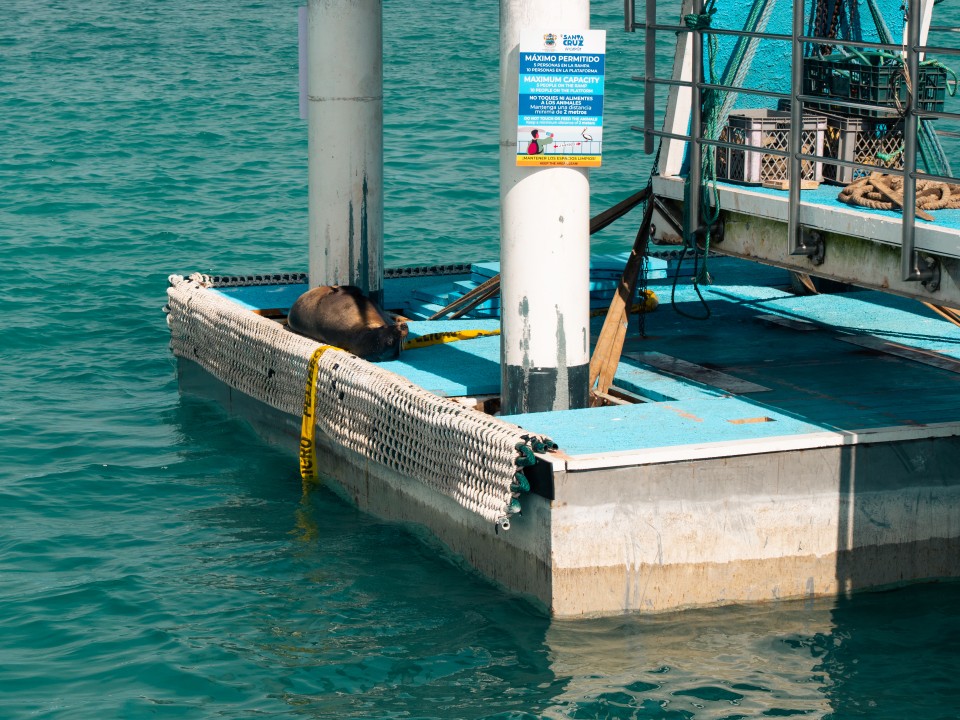 Porto di Puerto Ayora Porto di Puerto Ayora