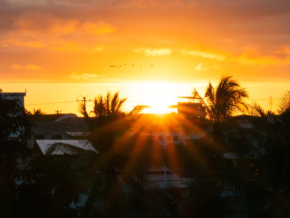 Puerto Ayora Puerto Ayora