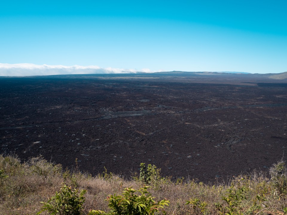 Volcan Sierra Negra
