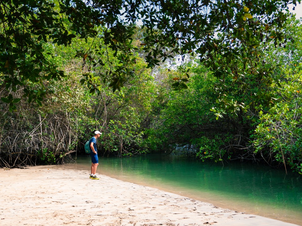 Ruta per il Muro delle Lacrime