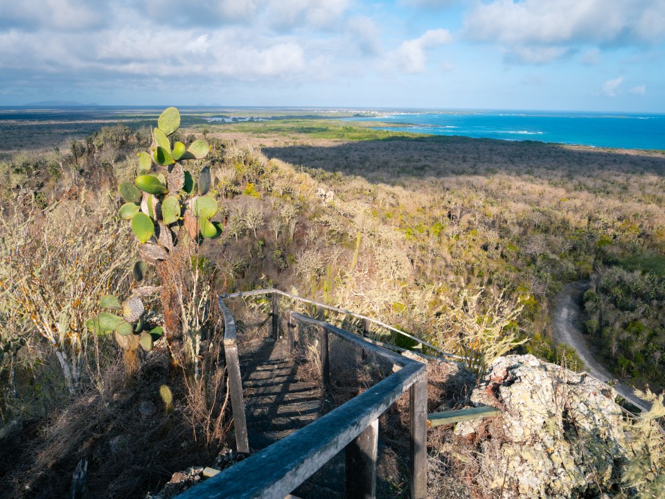 Mirador Cerro Orquilla Mirador Cerro Orquilla