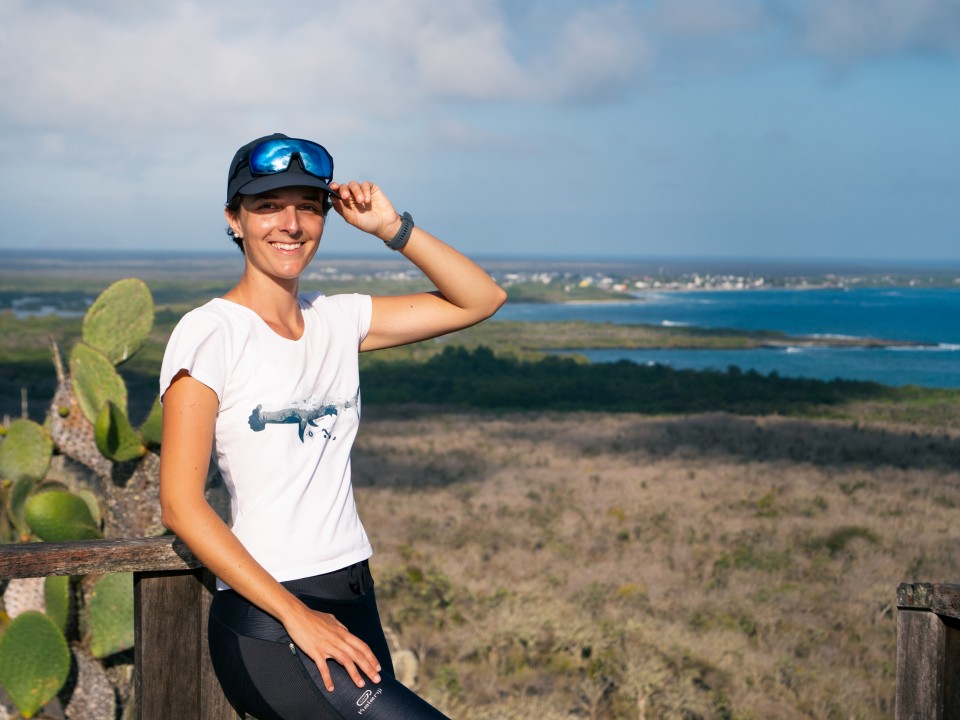 Mirador Cerro Orquilla Mirador Cerro Orquilla