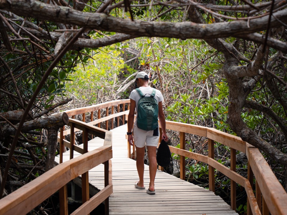Passerella per la Concha de perla Passerella per la Concha de perla