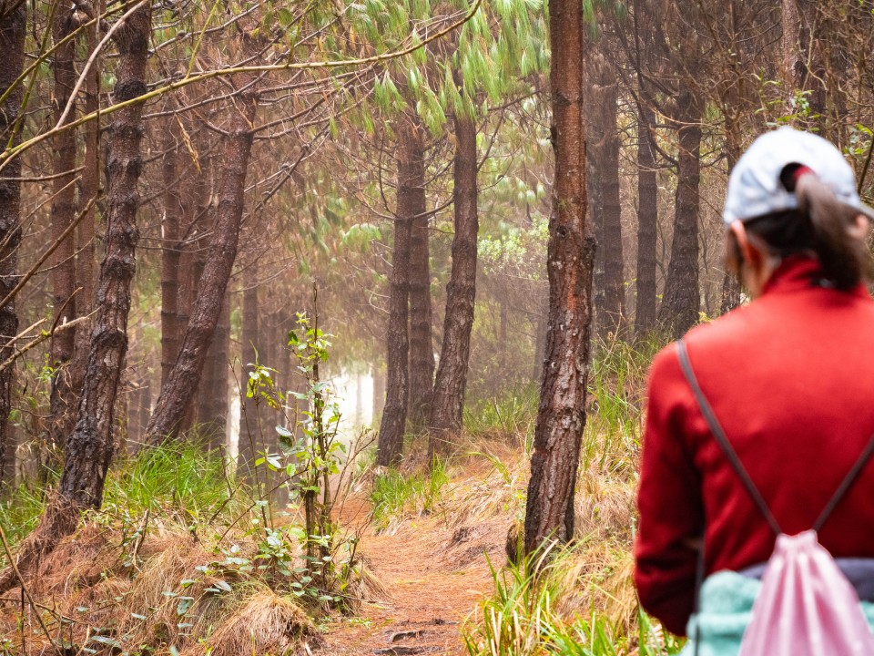 Comunit&agrave; indigena San Clemente