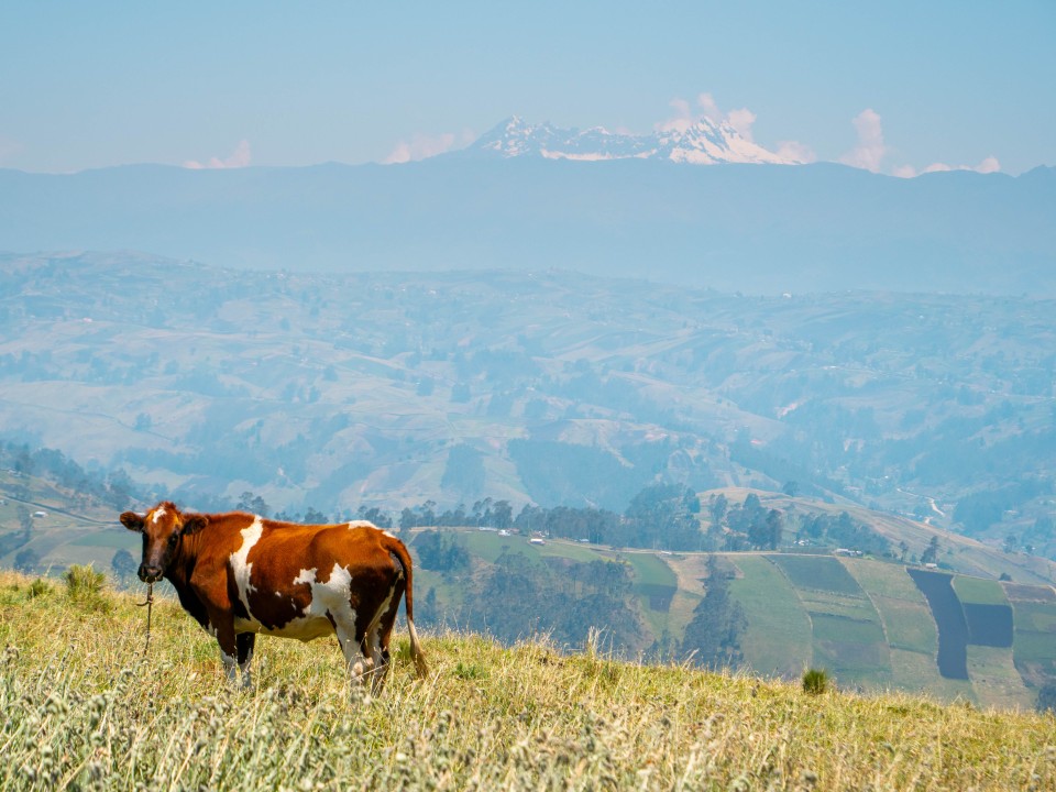 Villaggio andino La Esperanza Villaggio andino La Esperanza