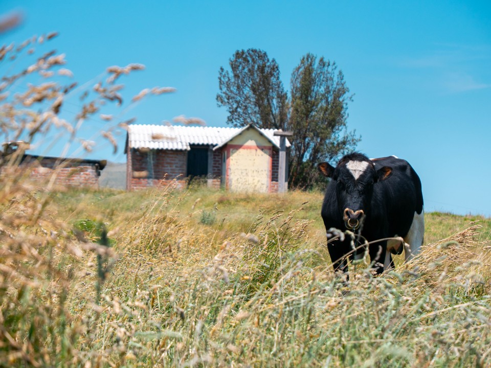 Villaggio andino La Esperanza Villaggio andino La Esperanza