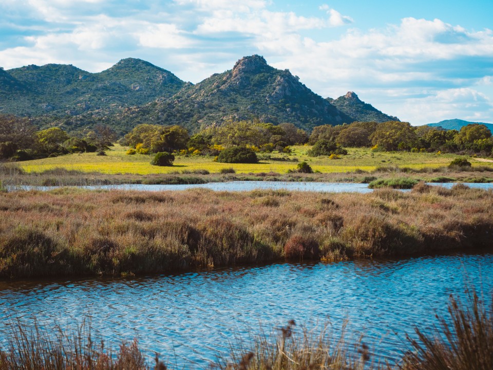 Stagno di Berchida Stagno di Berchida