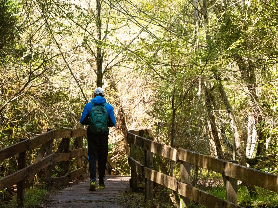 Percorso per la cascata