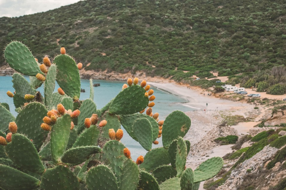  La spiaggia di Capo Carbonara