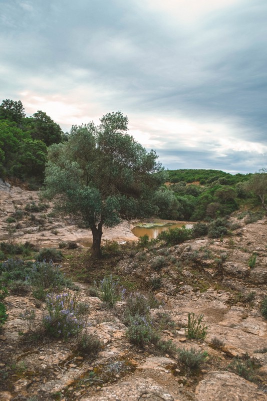  Trekking a Su Fossu de Su Para