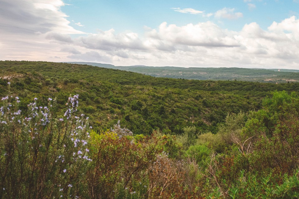 Trekking a Su Fossu de Su Para