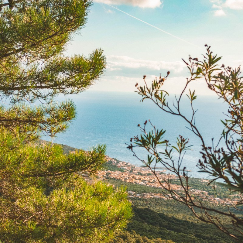 Cala Gonone dall'alto