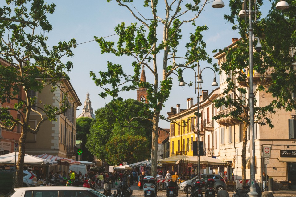  Il mercato di Pavia