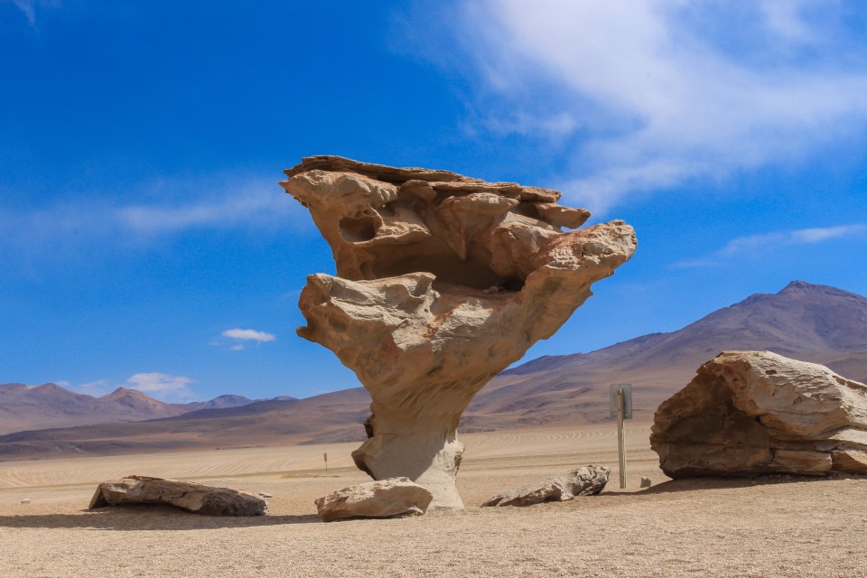 Arbol de Piedra