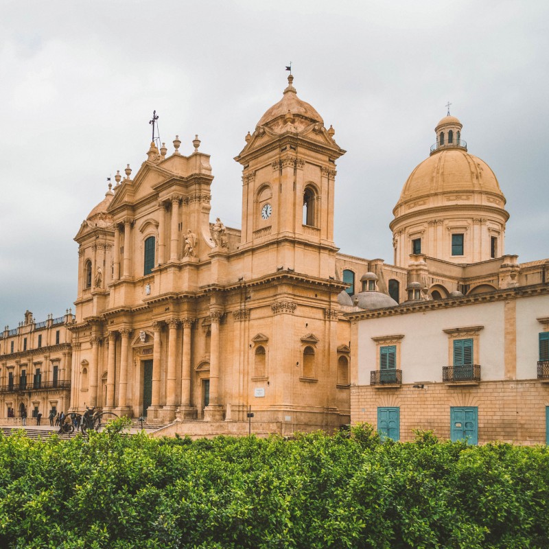 noto (2)