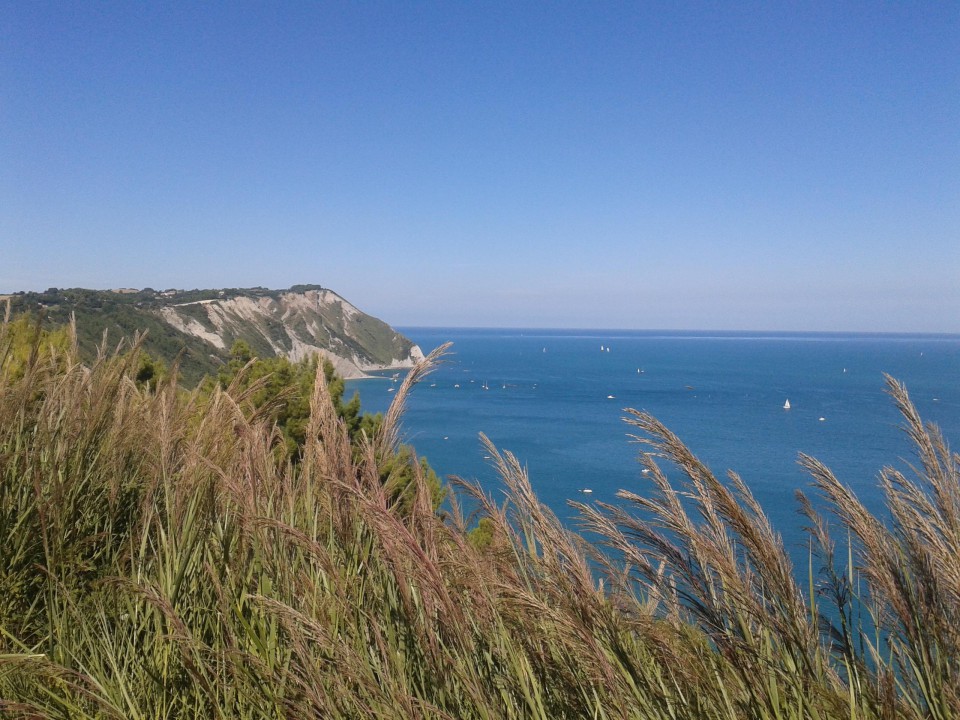 Spiagge del Conero