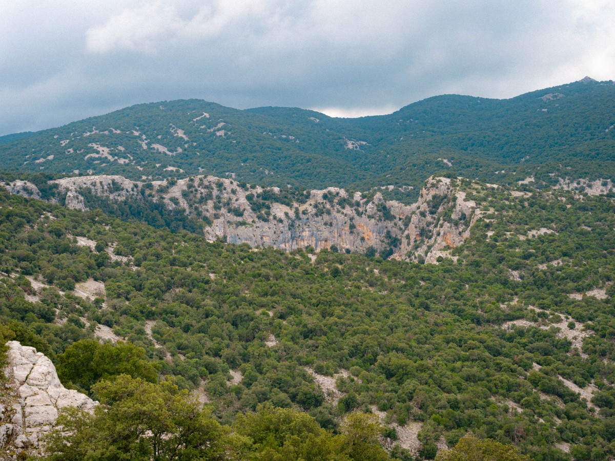 Dolina di Su Suercone, Supramonte