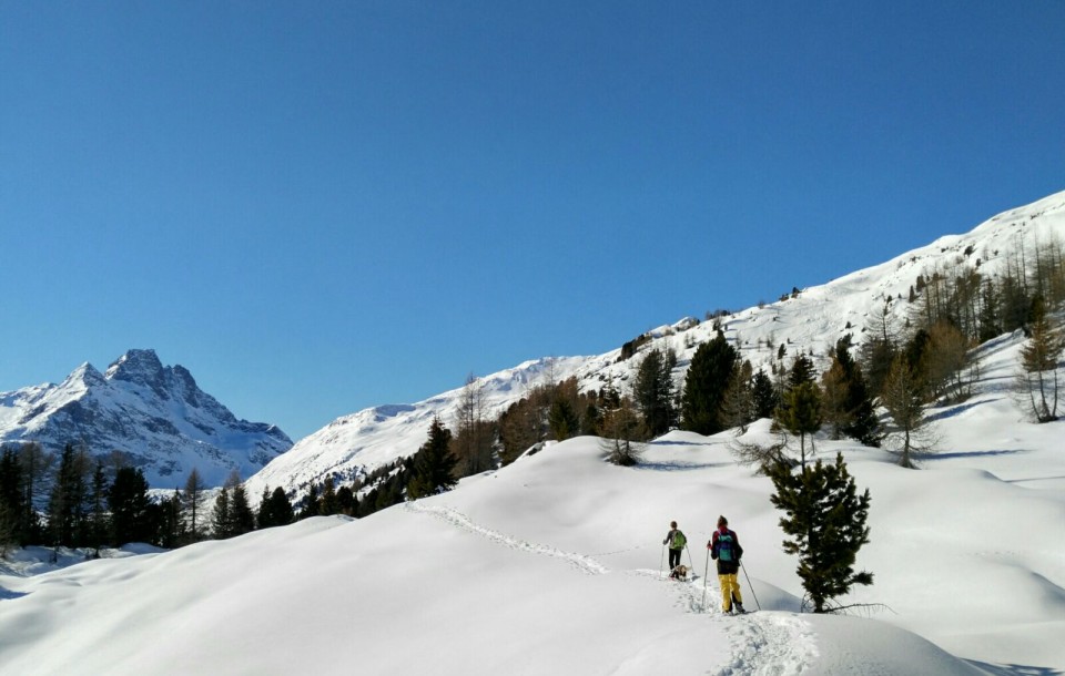 Arnoga - Rifugio Dosdè - Val Viola