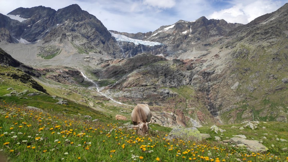 Alpe Gera - Ghiacciaio Fellaria - Valmalenco