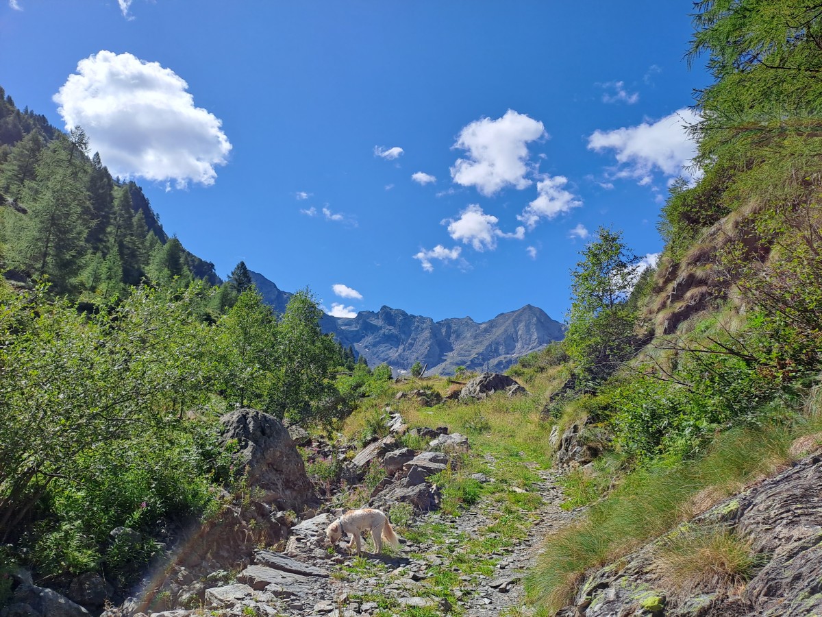 Salendo verso la Val Zappello