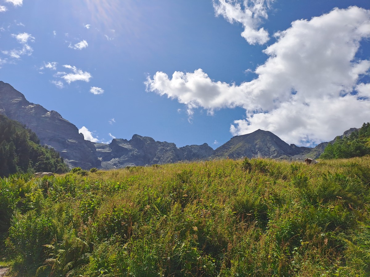 Salendo verso la Val Zappello