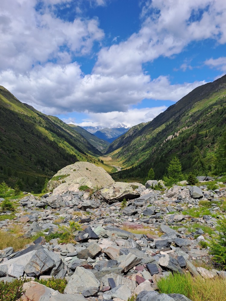 La Val Zappello vista dalle ultime pietraie