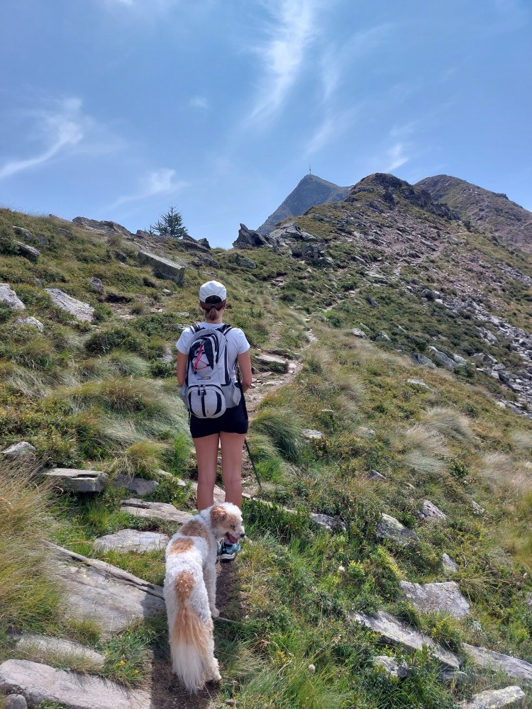 La cima del Monte Storile è sempre più vicina