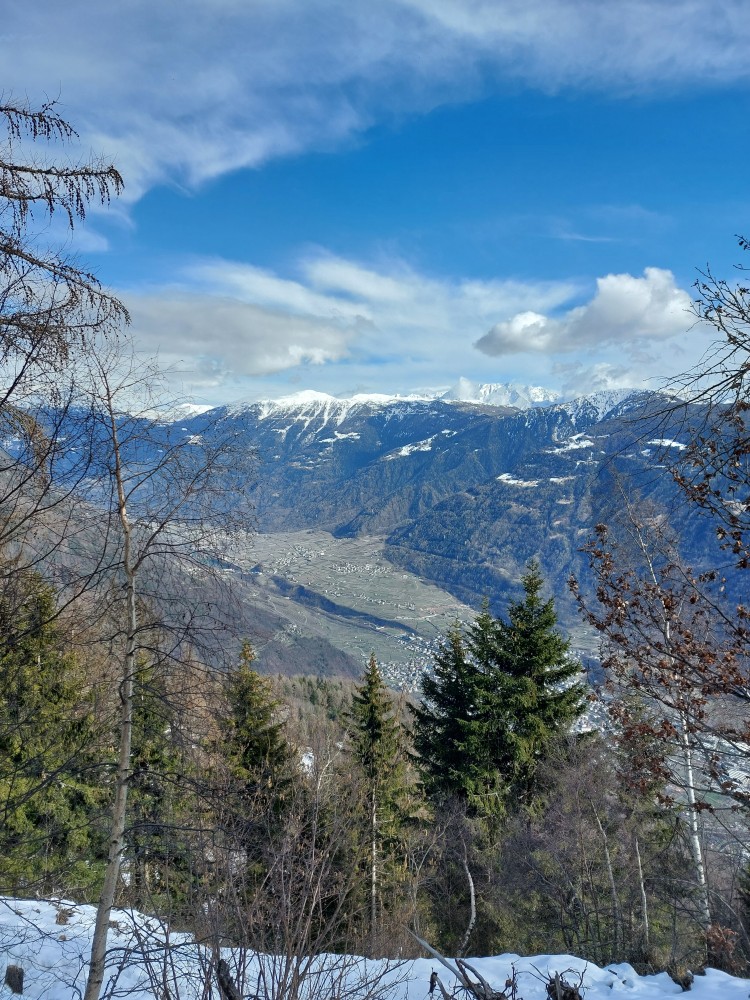Vista sulla media Valtellina