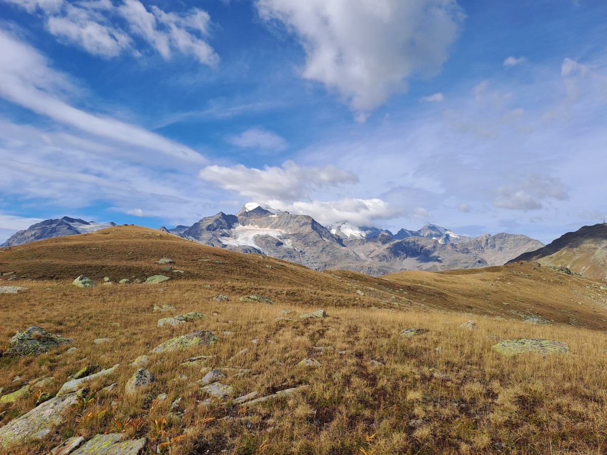 Salendo verso la cima, vediamo il Ghiacciaio Bernina