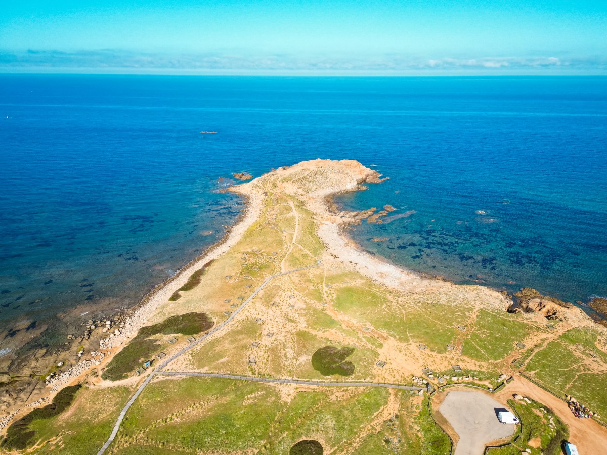 Capo Pecora