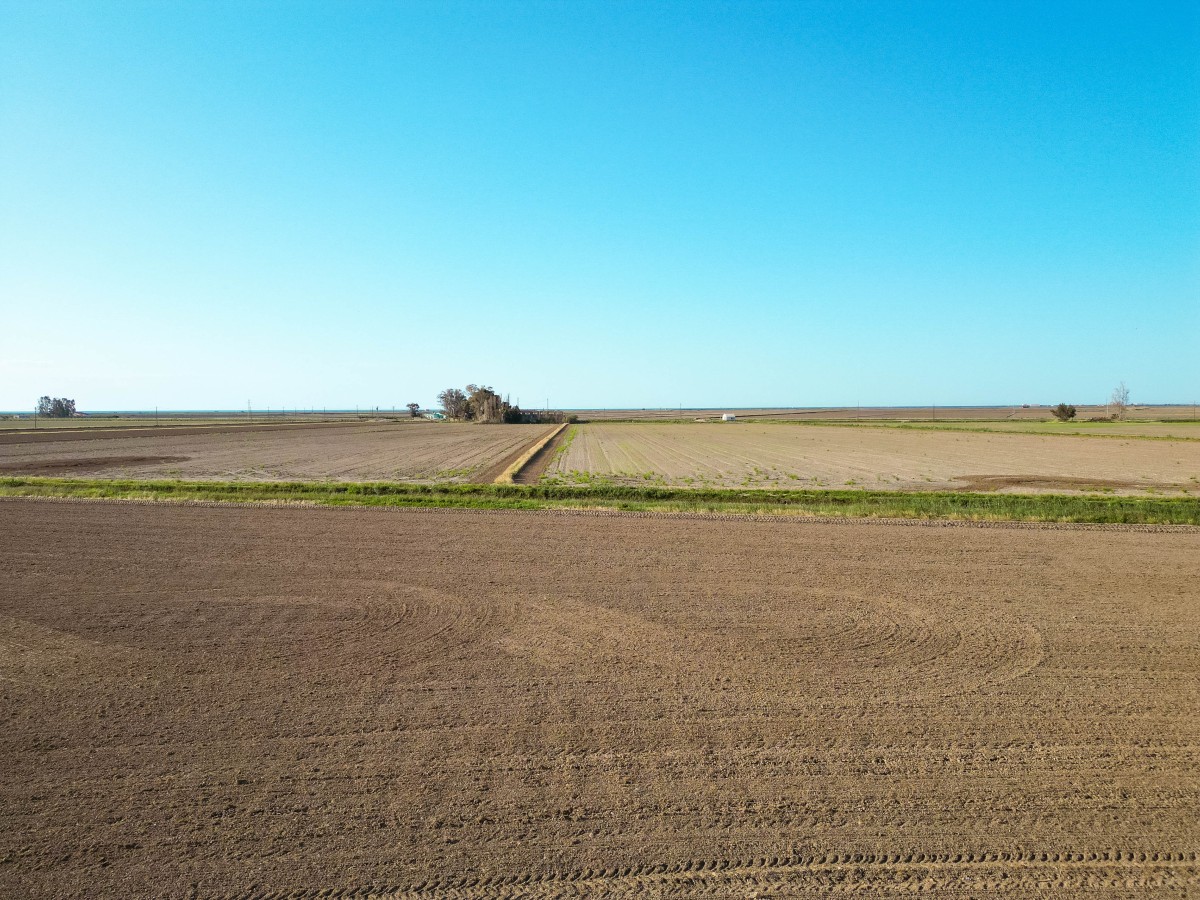 Delta del Fiume Ebro