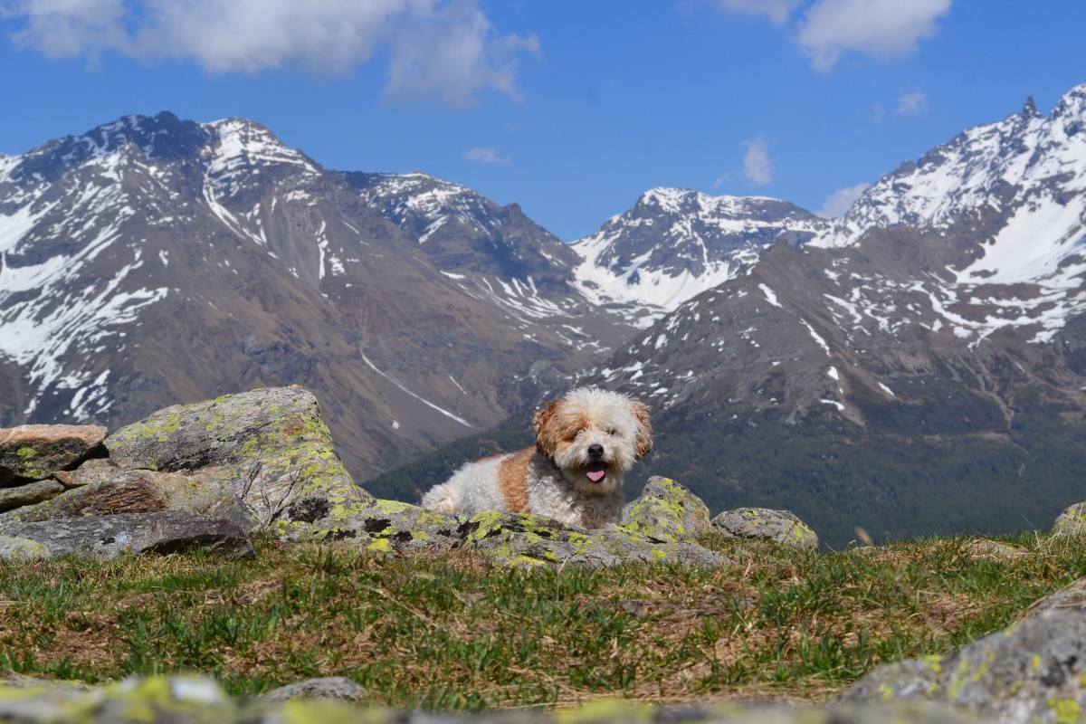 Laghi di Tres