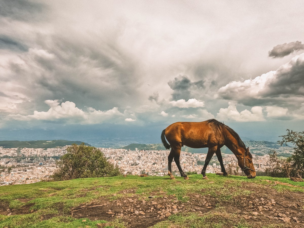 Quito dall'alto