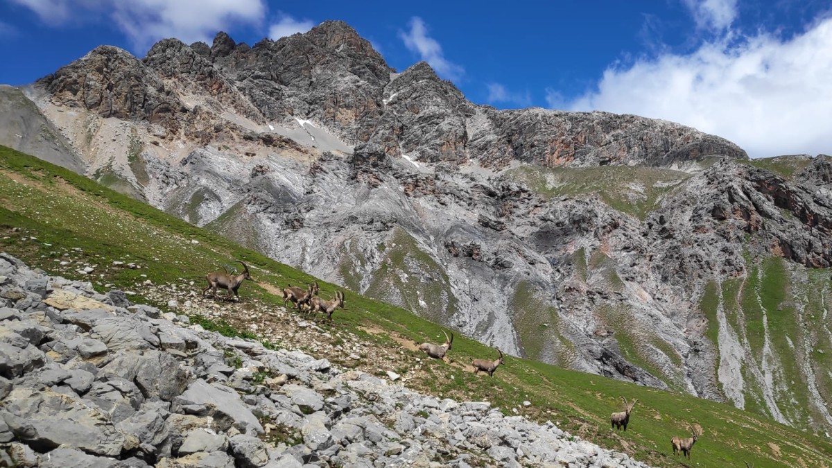 Val Saliente