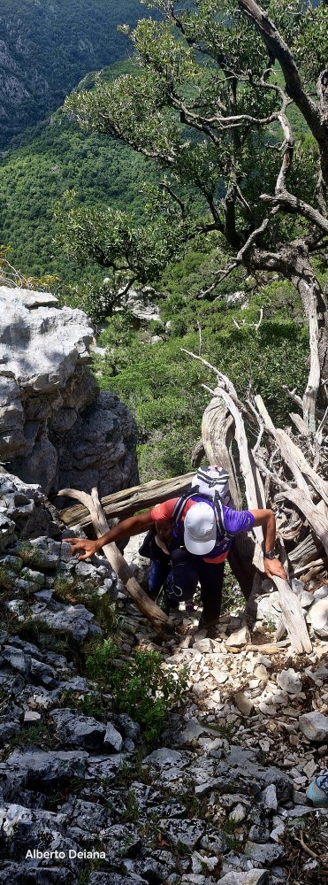 Trekking Sala degli Archi Trekking Sala degli Archi