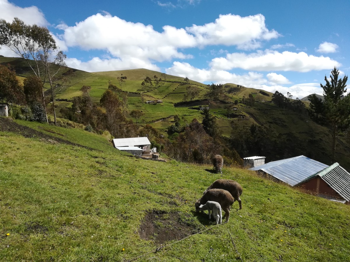 La Esperanza - Cochaloma - San Rafael - Gahuijon Bajo