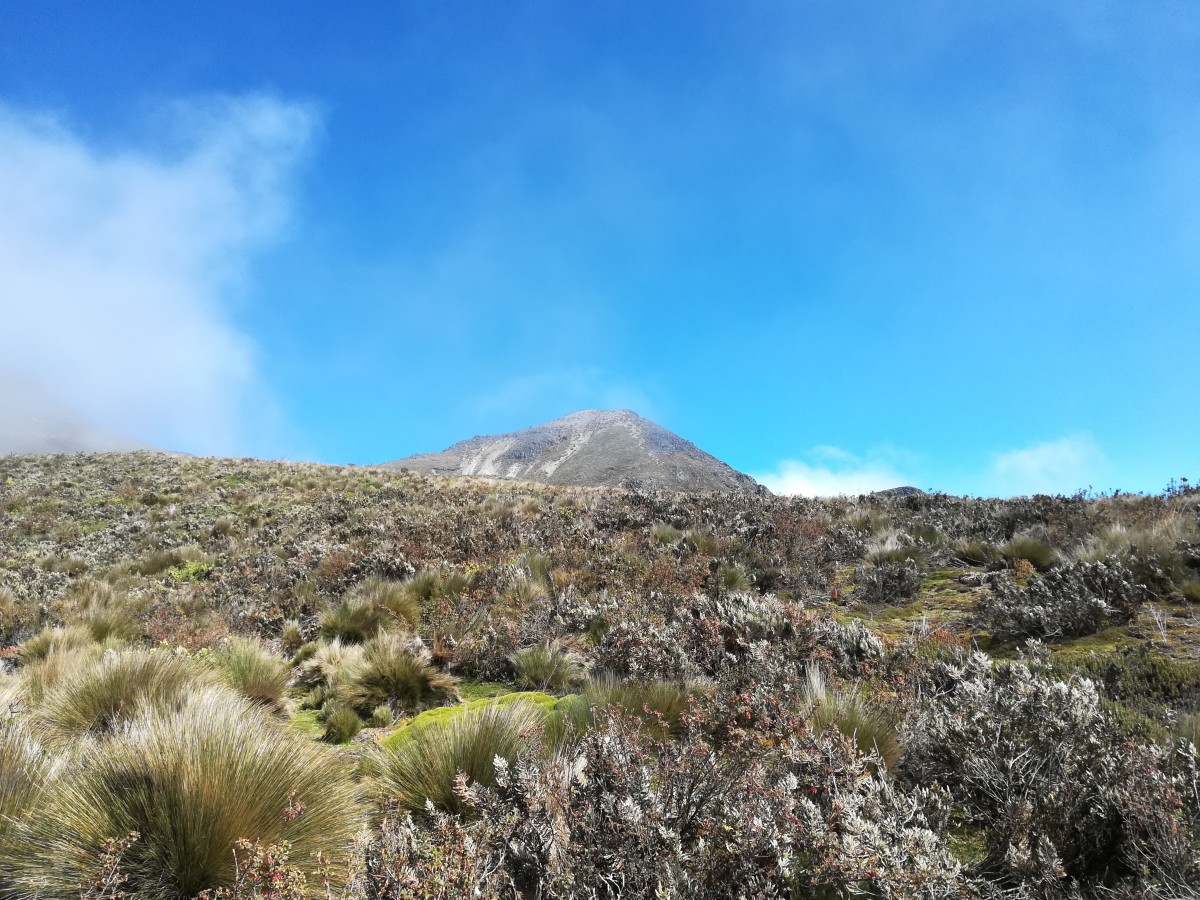 Cima Vulcano Corazón