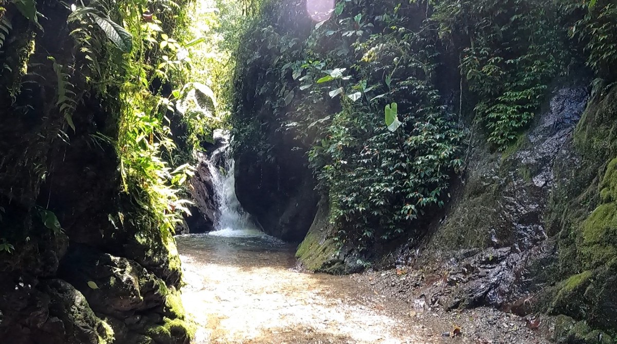 Santuario delle Cascate di Mindo