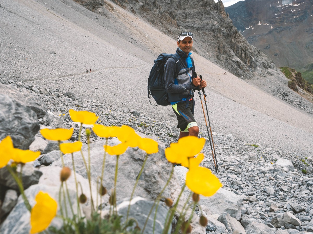 Fiori tra le rocce