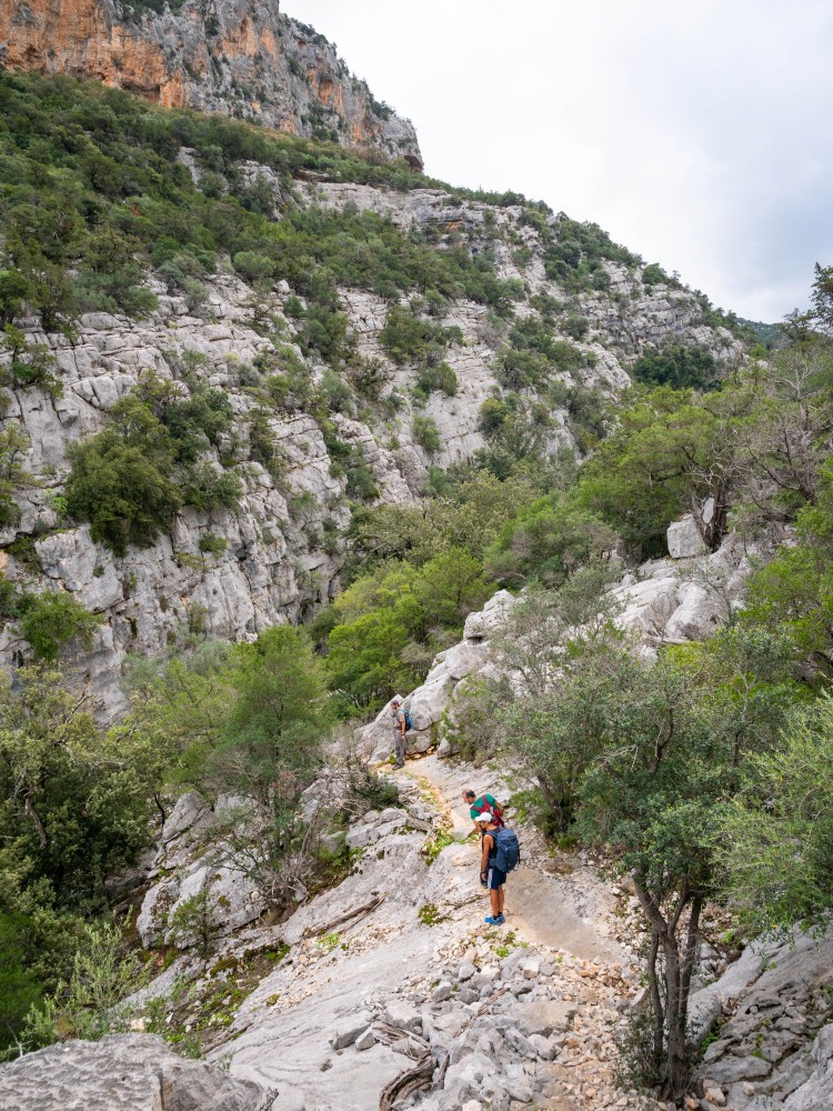 Salita verso Su Suercone