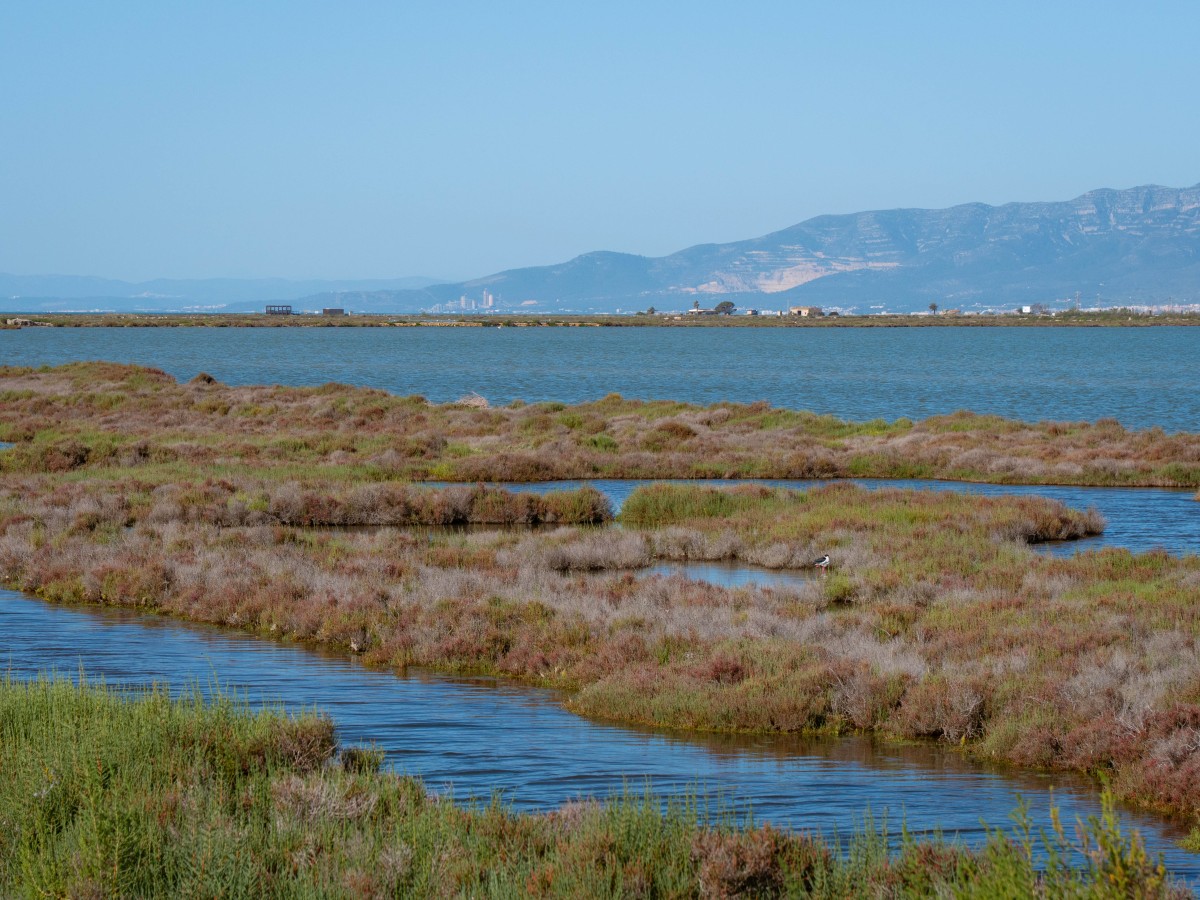 Delta del Fiume Ebro