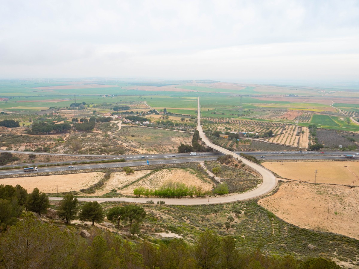 Chinchilla de Mont Aragon
