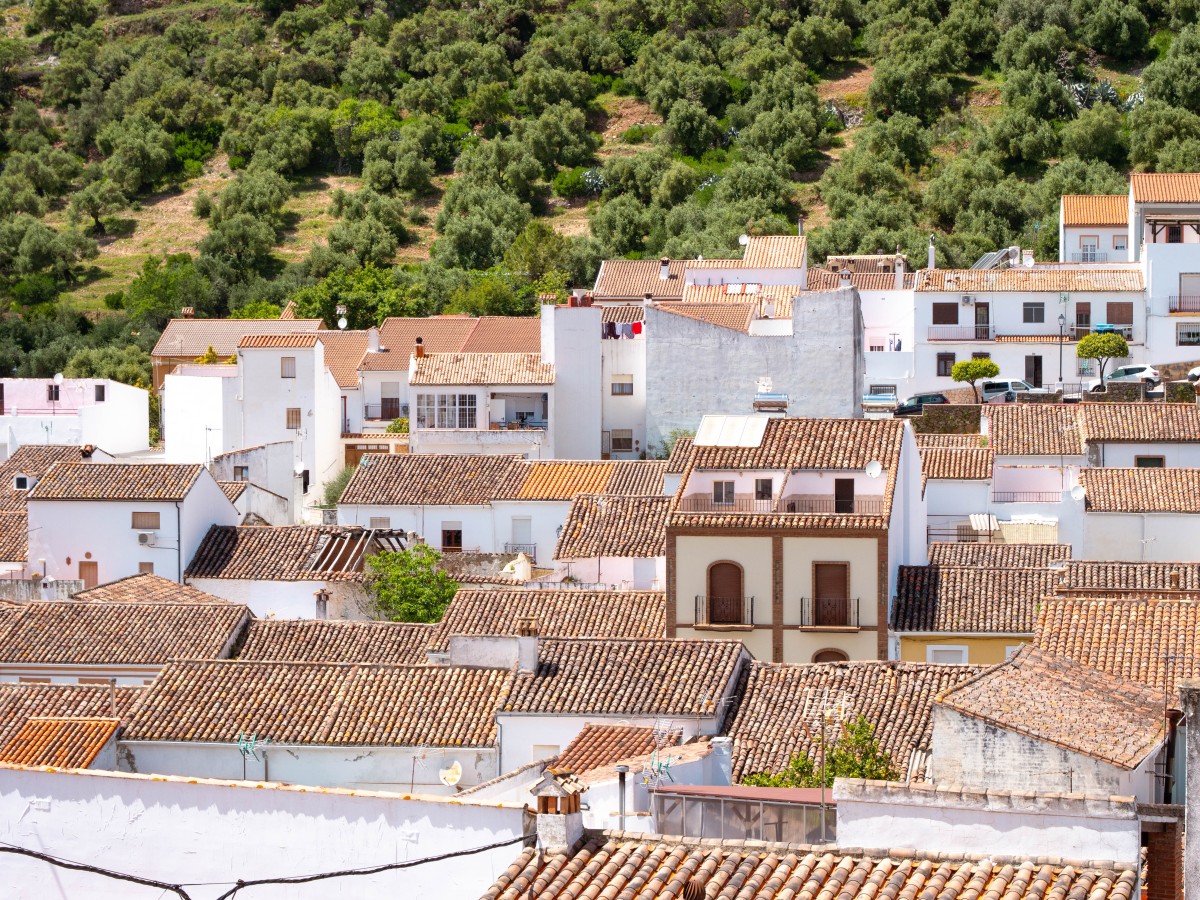 Cortes de la Frontera