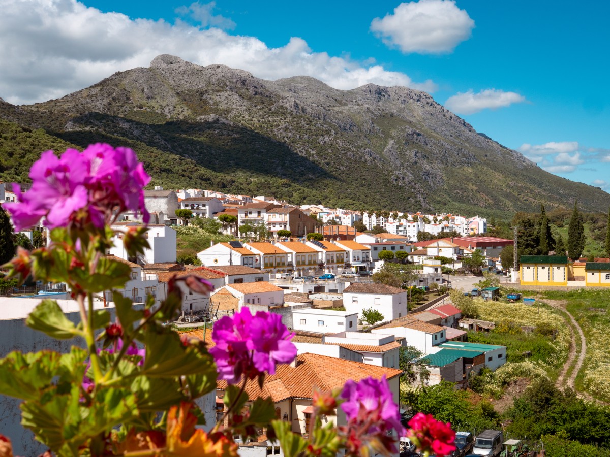 Cortes de la Frontera